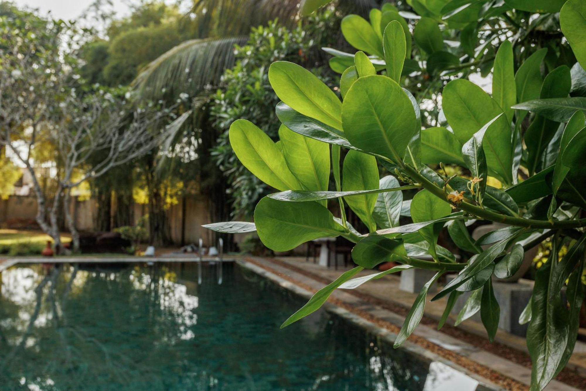 Villa White Queen Galle Ngoại thất bức ảnh